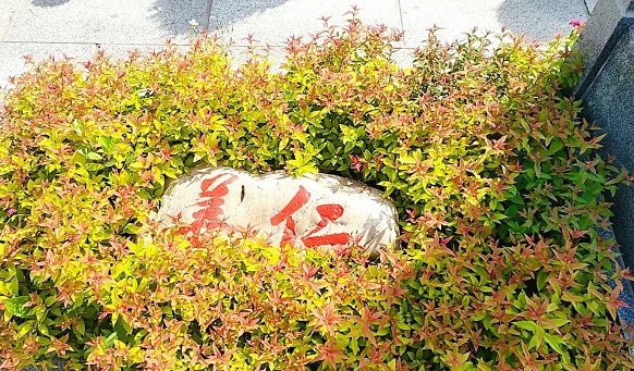 撫順墓園講殯葬常識(shí)