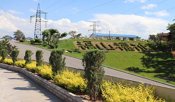 沈陽(yáng)墓園墓碑朝向好 沈陽(yáng)墓園墓碑朝向好
