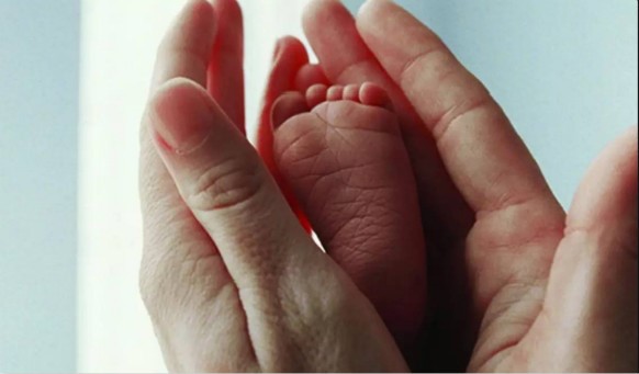 生于死沈陽墓地給您解說