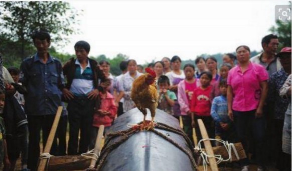 沈陽墓園說引魂雞的用法