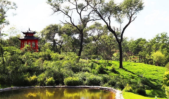 沈陽公墓實景 沈陽公墓實景