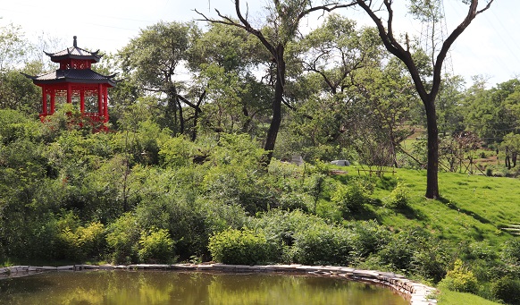 沈陽公墓實景 沈陽公墓實景