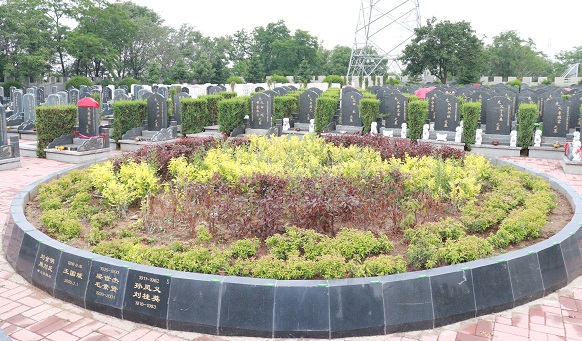 撫順墓地實(shí)景 撫順墓地實(shí)景