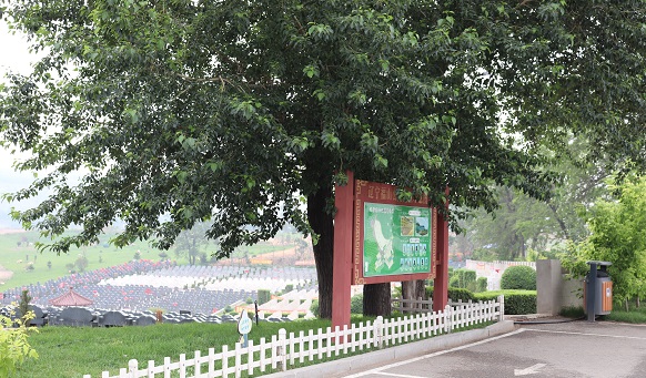 沈陽(yáng)墓地實(shí)景 沈陽(yáng)墓地實(shí)景