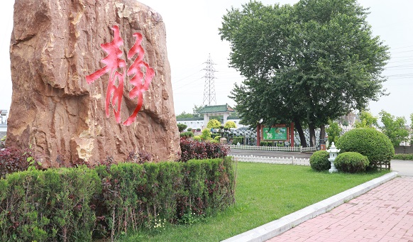 沈陽(yáng)公墓實(shí)景