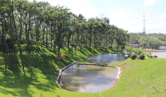 撫順墓園實(shí)景 撫順墓園實(shí)景