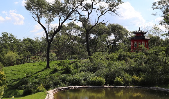 撫順墓園實(shí)景