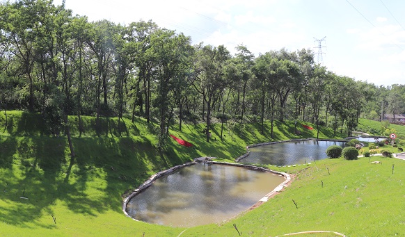 沈陽(yáng)公墓實(shí)景