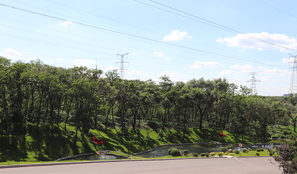 撫順墓園實(shí)景