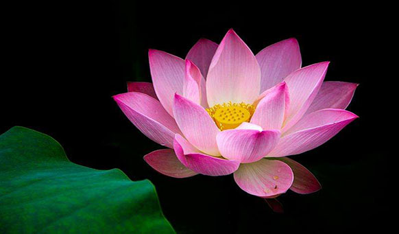 沈陽墓園實(shí)景