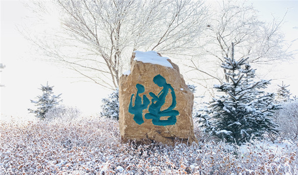 沈陽(yáng)墓地實(shí)景 沈陽(yáng)墓地實(shí)景