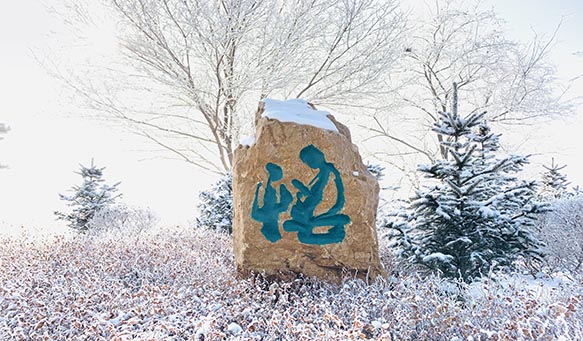 沈陽(yáng)墓園實(shí)景