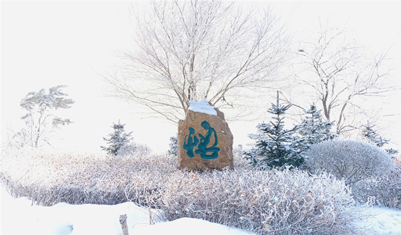 撫順墓園實(shí)景 撫順墓園實(shí)景