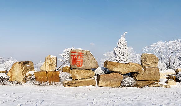 沈陽墓園實景 沈陽墓園實景