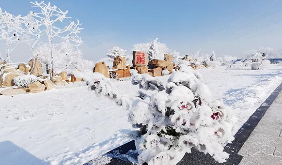 沈陽(yáng)墓園實(shí)景 沈陽(yáng)墓園實(shí)景