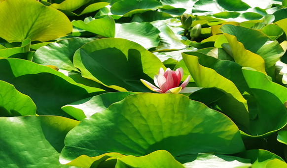 沈陽墓園實景 沈陽墓園實景