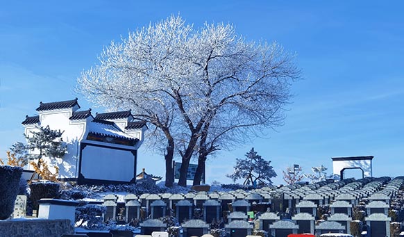 沈陽墓園實(shí)景