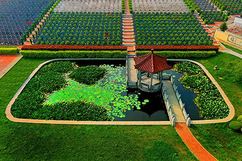 “最美福山”第三屆風(fēng)光攝影大賽，金銀銅獎鑒賞圖