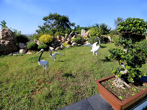 國外去世遺體怎么辦及費(fèi)用 國外去世遺體怎么辦及費(fèi)用