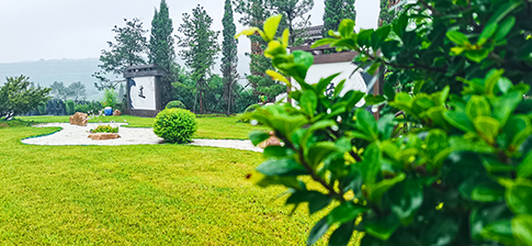 國(guó)外去世遺體運(yùn)回國(guó)的三種方法 國(guó)外去世遺體運(yùn)回國(guó)的三種方法