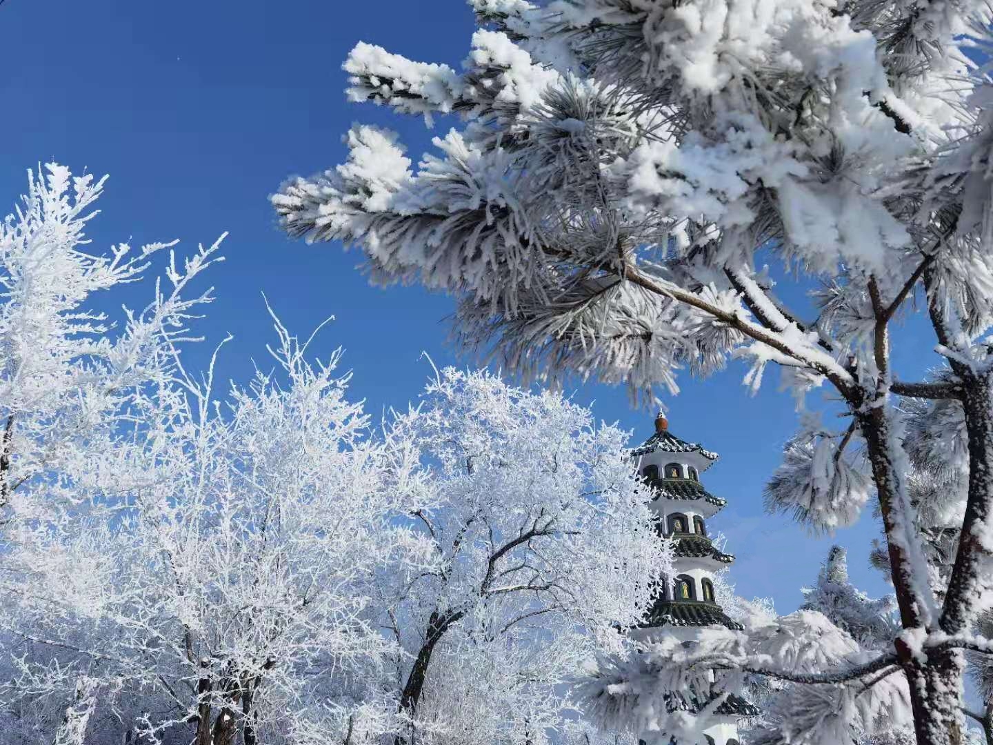 十一月，再見(jiàn)。十二月，你好！