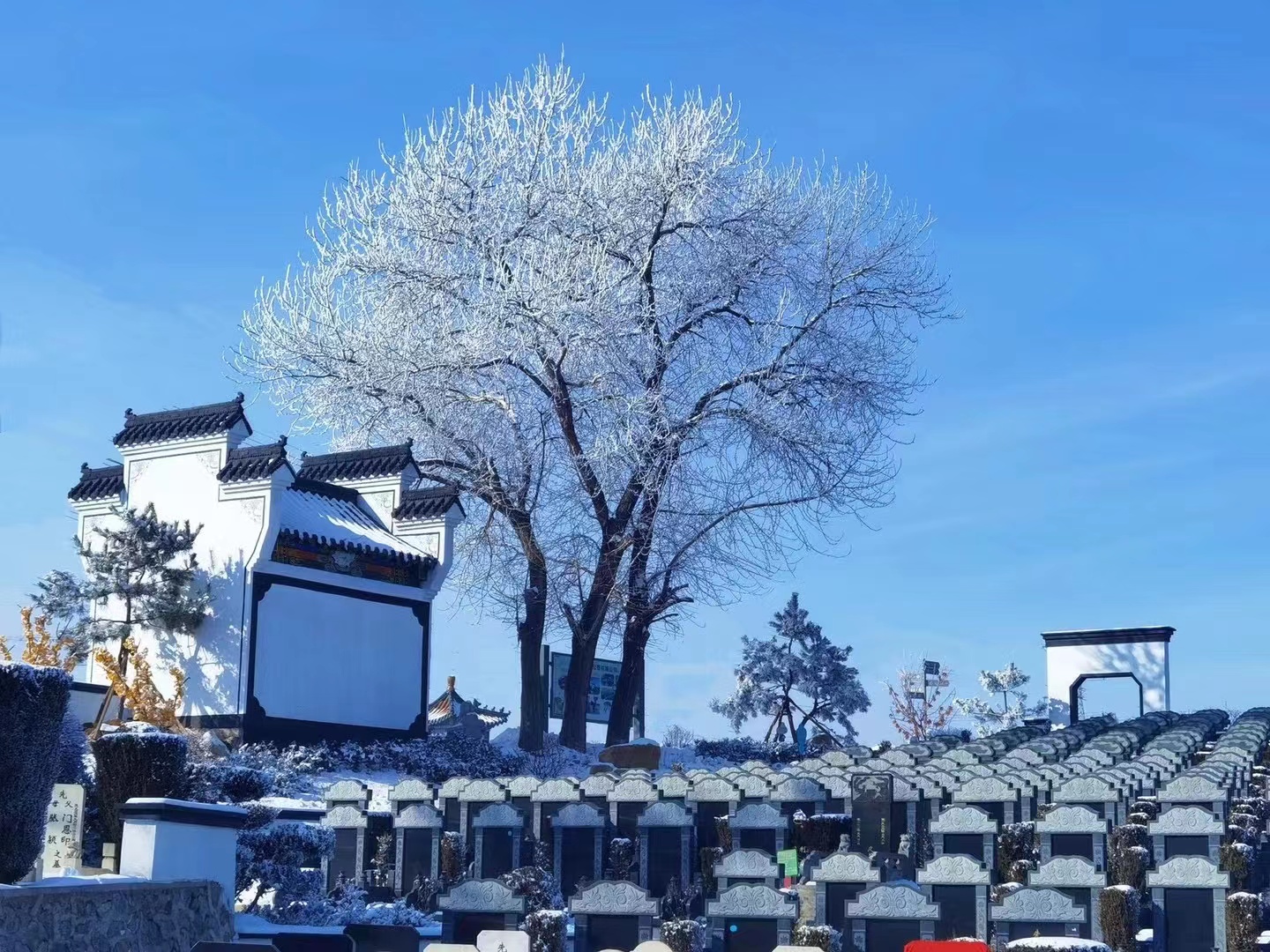 十一月，再見(jiàn)。十二月，你好！