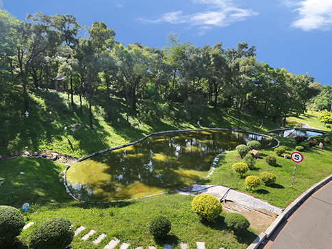 墓園中掃墓禁忌（四）