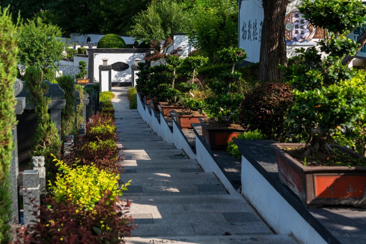 官方直營熱線024-58179666