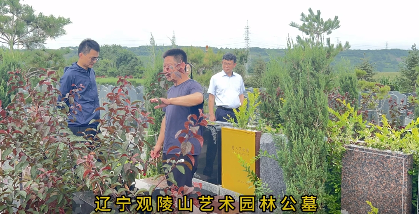 官方直營(yíng)熱線024-58179666