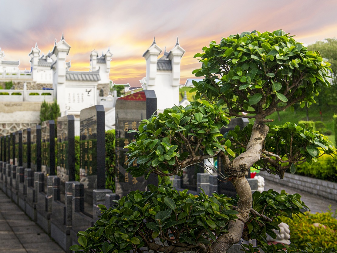 沈陽福山墓園實景