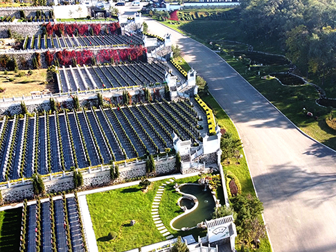 福山墓園講解在沈陽(yáng)買(mǎi)墓地選擇什么朝向比較好？