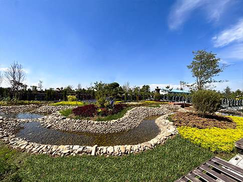 松柏長青，銘刻不朽的勞動之美