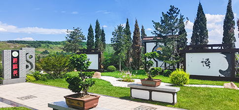 沈陽墓園中避坑指南