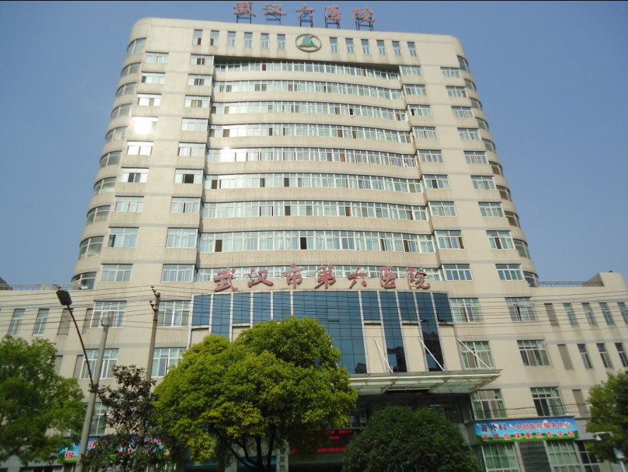 武漢市六醫院