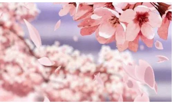 人生苦短，最重要的是開心