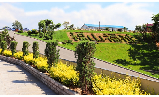 推進殯葬改革，倡導移風易俗