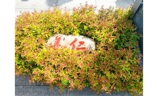 墓地價格惠民的撫順墓地園區(qū)景觀