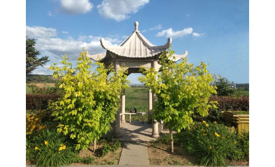 墓地風(fēng)水好的沈陽墓園花崗巖涼亭