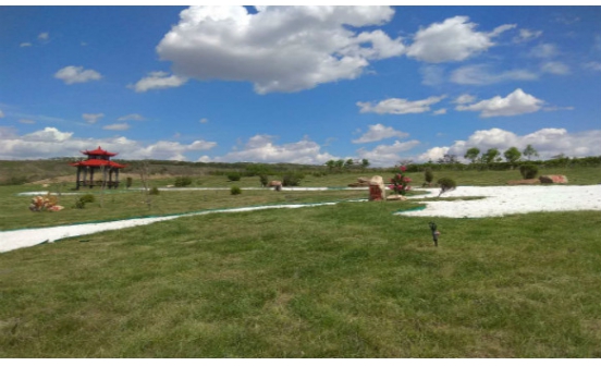 沈陽墓園實景圖