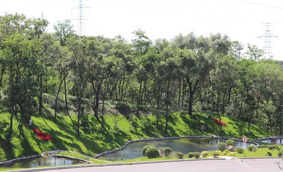 沈陽墓地實(shí)景