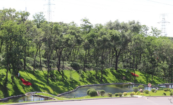 沈陽(yáng)公墓實(shí)景