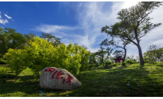 沈陽墓園實(shí)景圖