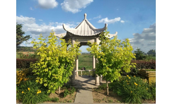 沈陽(yáng)墓園實(shí)景圖