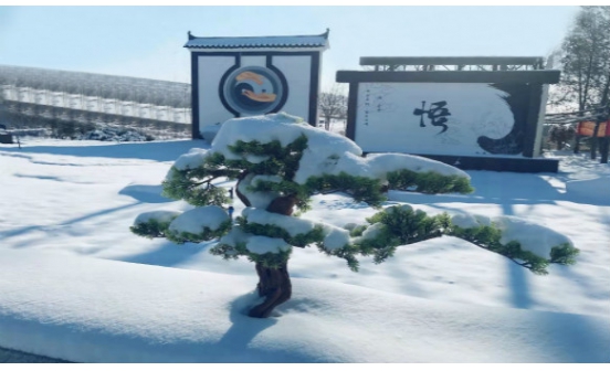 沈陽(yáng)墓園實(shí)景圖