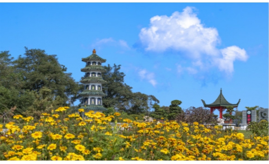 撫順墓園實景圖