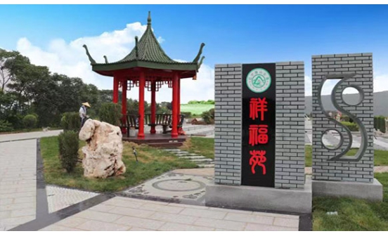 獨留一方在世，百年后如何安葬？