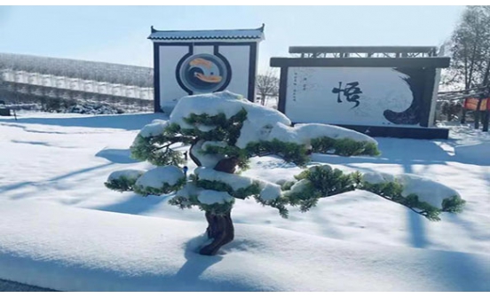 哀樂的由來你知道嗎？