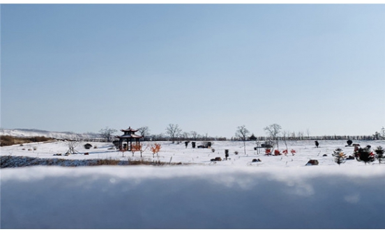 撫順墓園實景圖