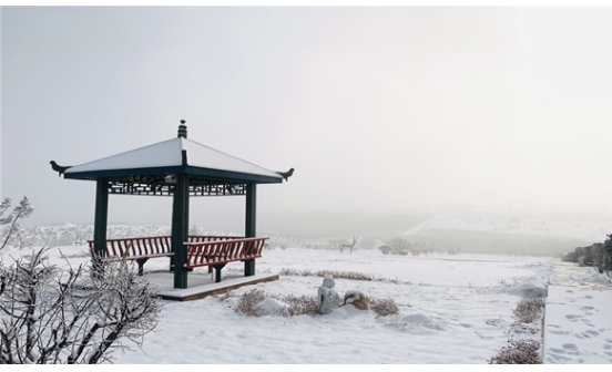 沈陽墓園實(shí)景圖