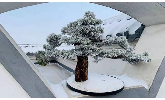 墓地破土開墳要注意